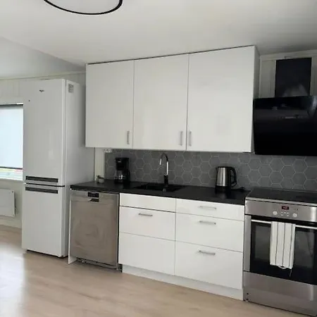 Hel Utleieleilighet I Lejlighed *