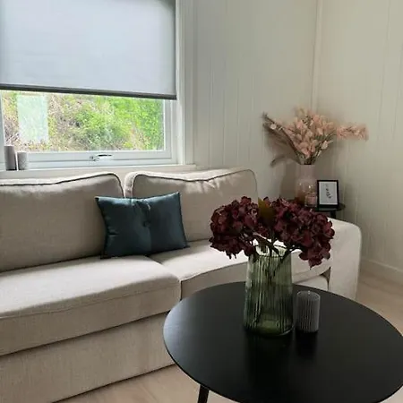 Hel Utleieleilighet I Lejlighed